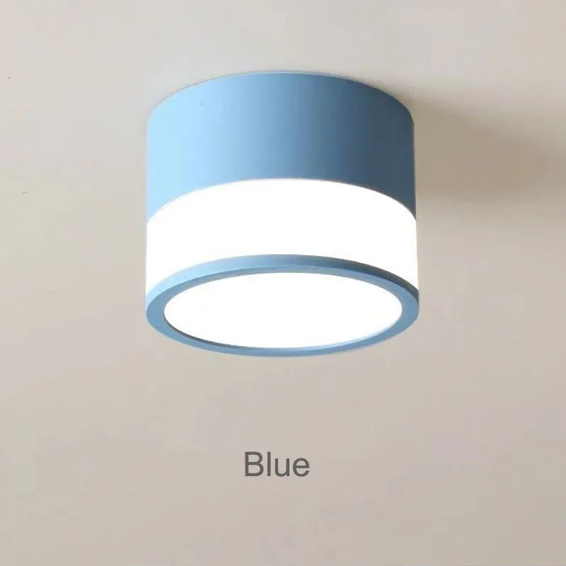 Elyran - Nordic LED Surface Downlight Dimmable