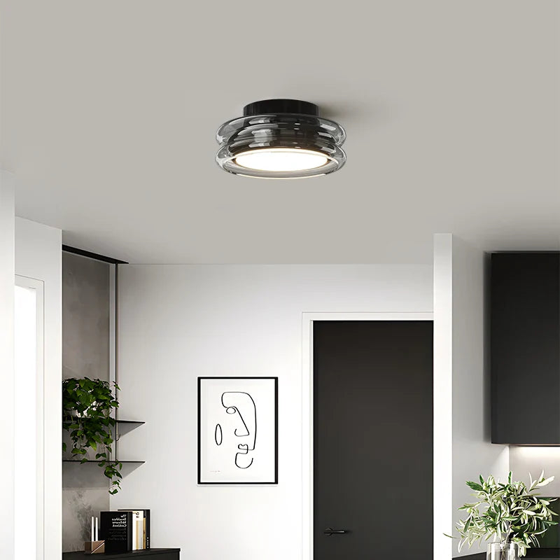 Modern Ceiling Light Fixture with Glass Shade
