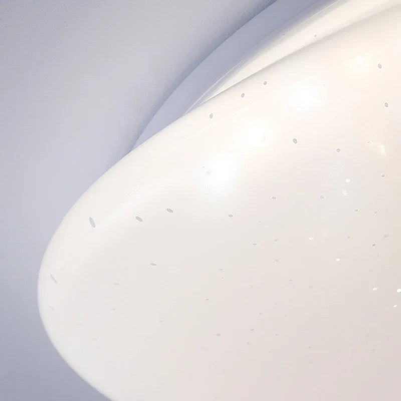 Organic LED Ceiling Lamp Natural Stone Shape