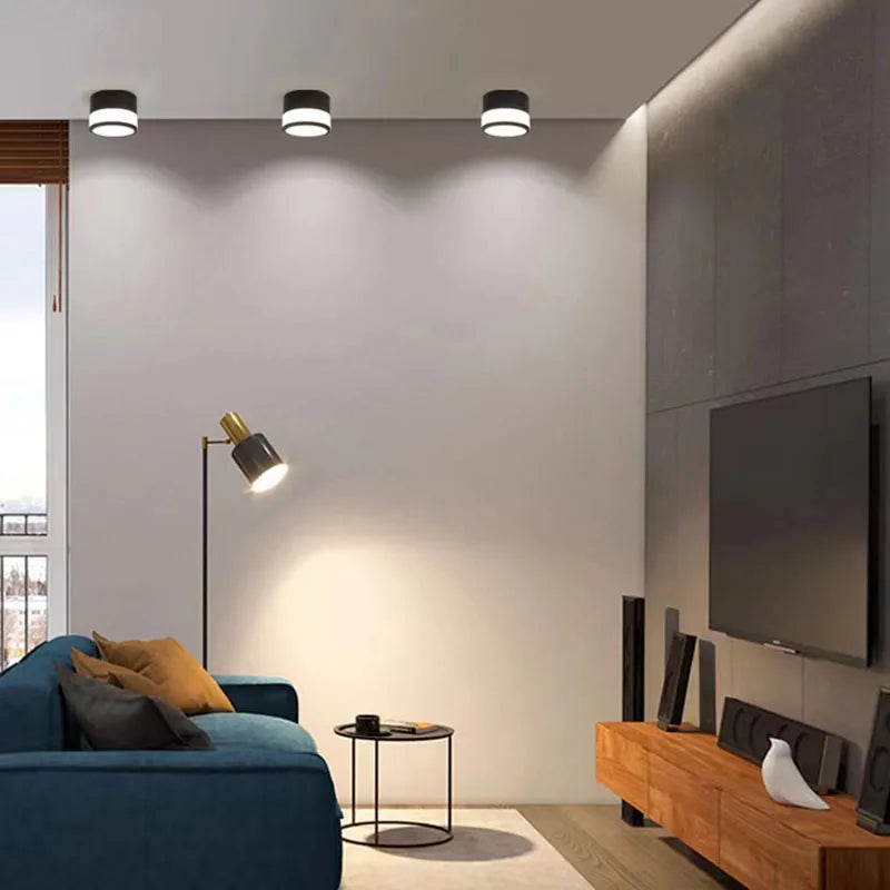 Elyran - Nordic LED Surface Downlight Dimmable