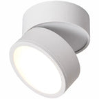 Modern Adjustable LED Ceiling Lamp