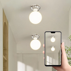 Ceiling light sphere – lamp with a frosted glass shade and metal ceiling mount