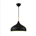 Modern pendant lamp with a rounded shape