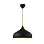 Modern pendant lamp with a rounded shape