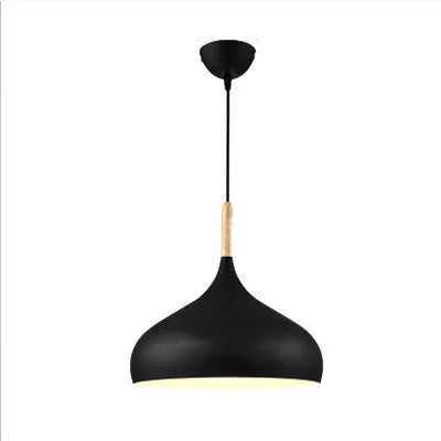 Modern pendant lamp with a rounded shape