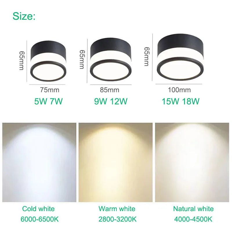 Elyran - Nordic LED Surface Downlight Dimmable