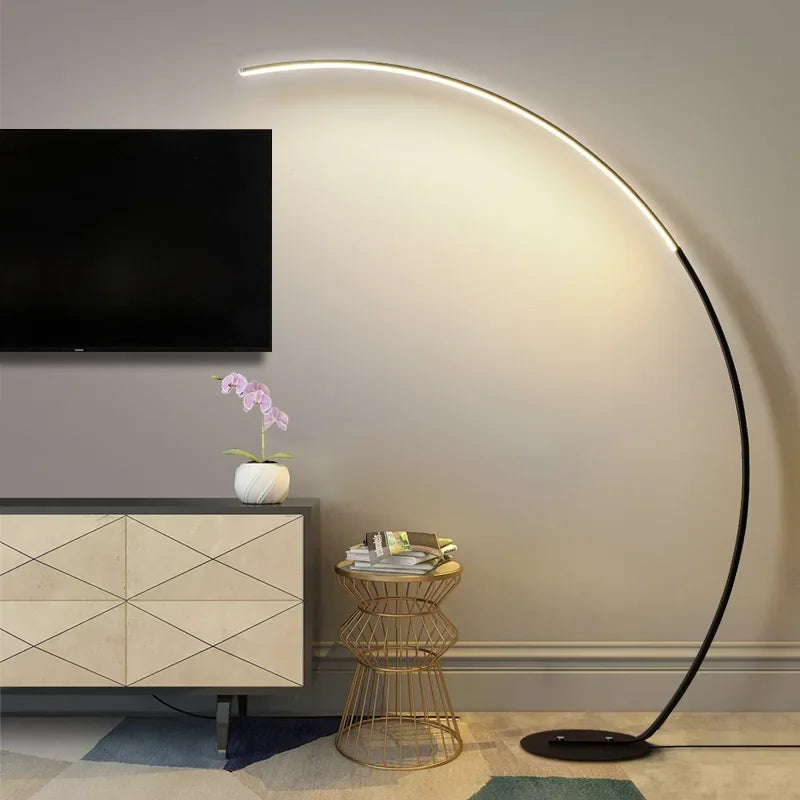 Modern LED Floor Lamp in Arch Shape