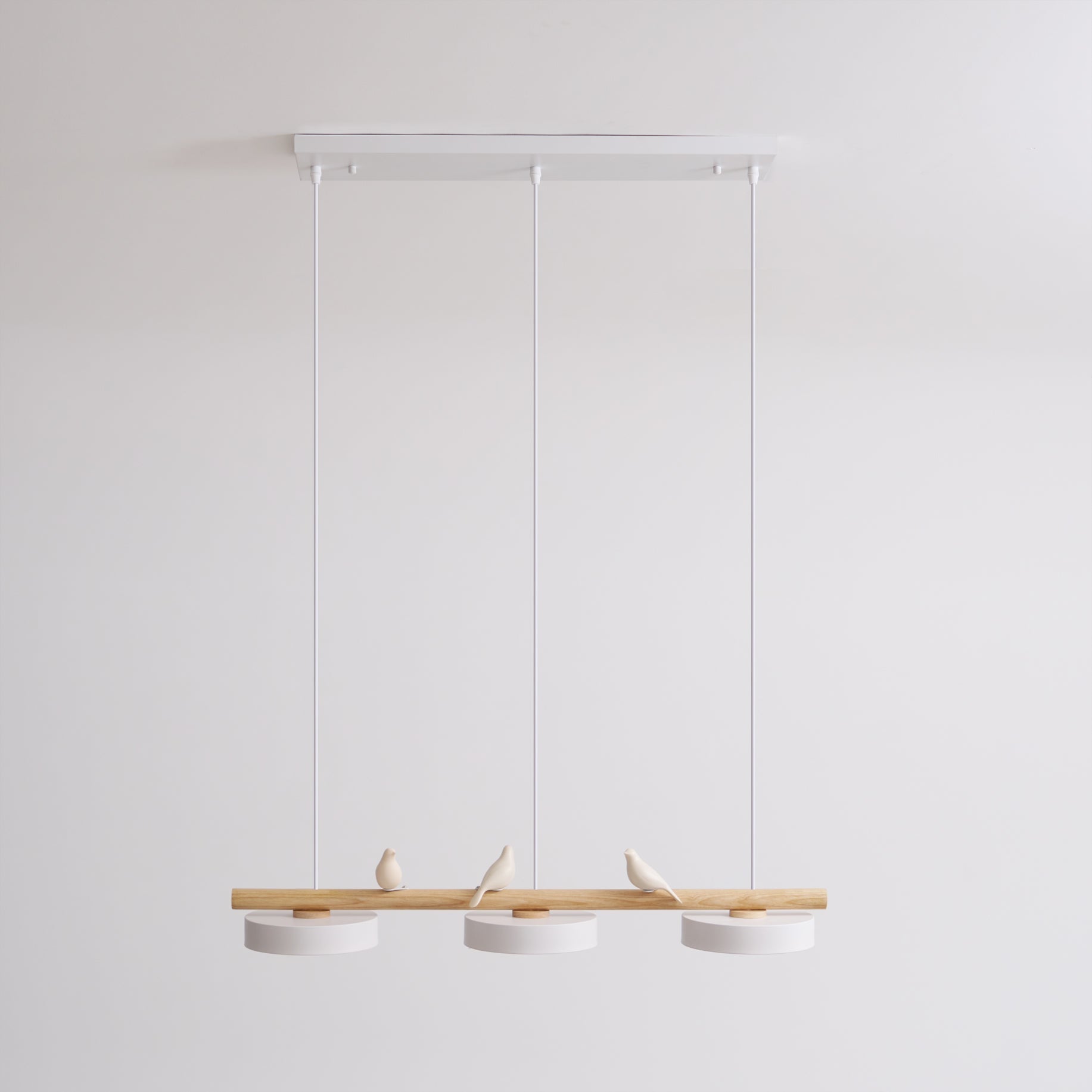 Cliff Suspension Bird