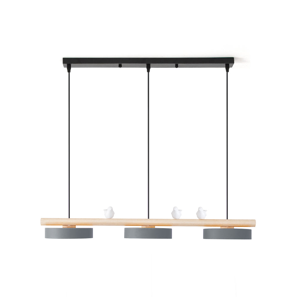 Cliff Suspension Bird