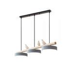Cliff Suspension Bird