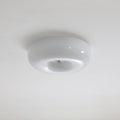 Afralia Modern Swirling Glass Ceiling Light