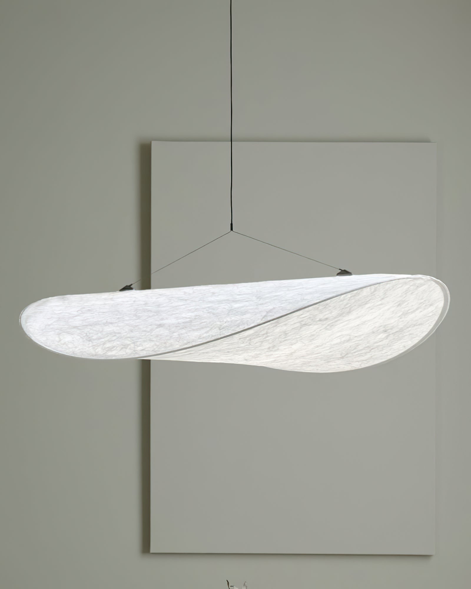 Sereca Suspension in Paper and Fiberglass