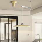 Morandi Adjustable Arm Suspensions