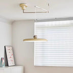 Morandi Adjustable Arm Suspensions
