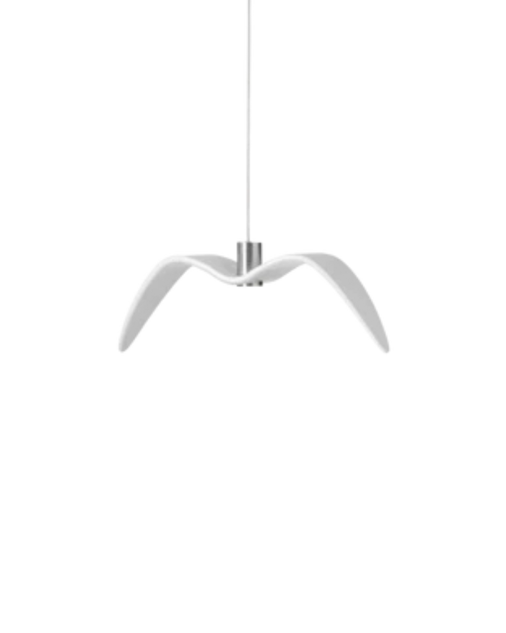 The Night Bird