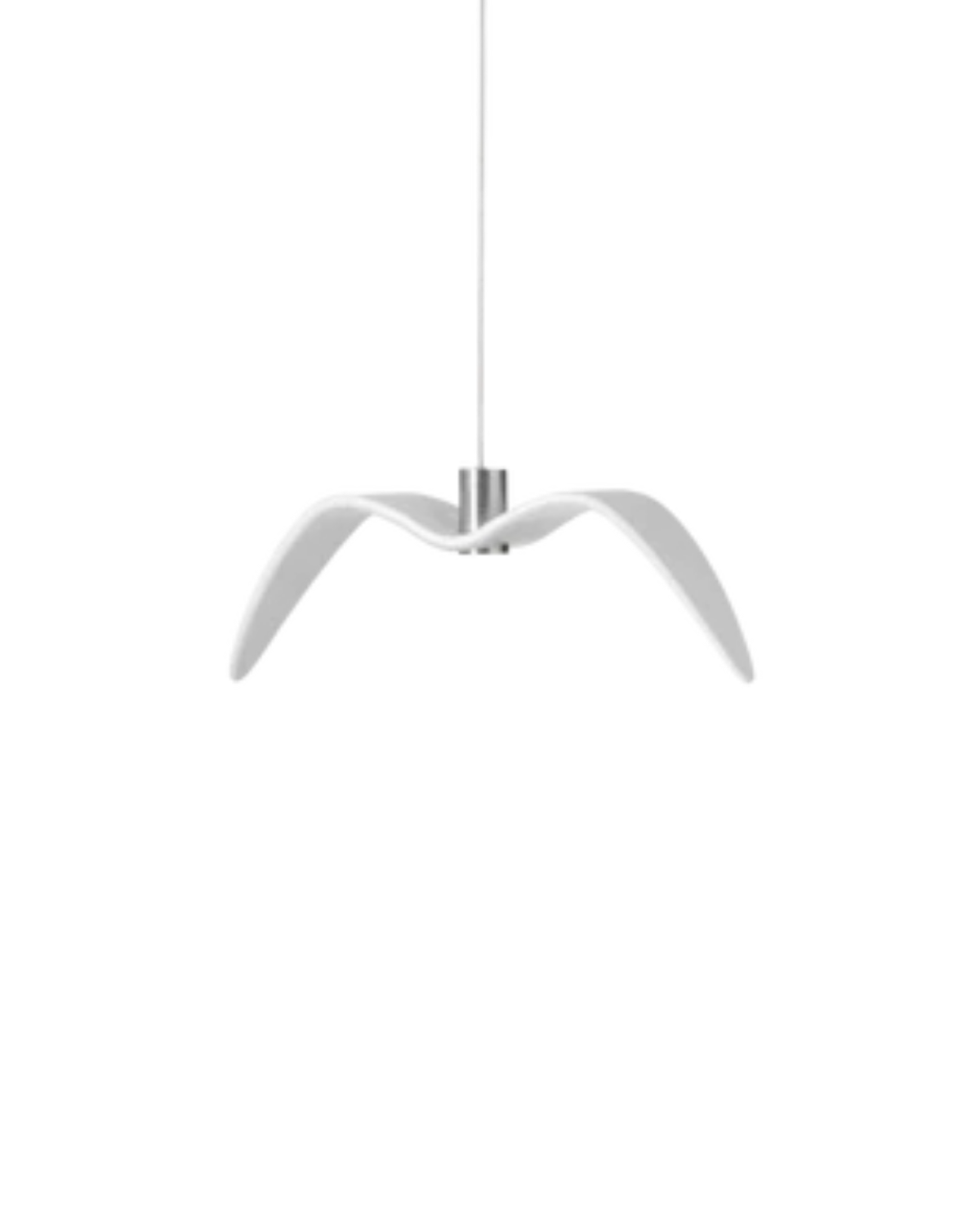 The Night Bird