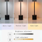 Kylie Modern Style LED Desk Lamp