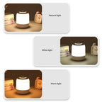 Callie Portable Desk Lamp