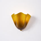 Elegant Wall Lamp with Soft Curves