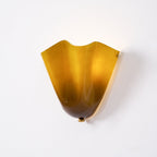 Elegant Wall Lamp with Soft Curves