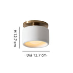 Zora Minimalist Porcelain Mount Ceiling Light