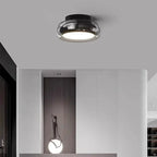 Modern Ceiling Light Fixture with Glass Shade
