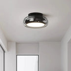 Modern Ceiling Light Fixture with Glass Shade
