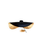 The Solar Mirror
