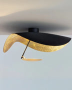The Solar Mirror