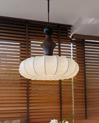The Silk Light