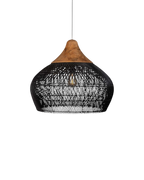 The Celestial Sphere