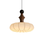 The Silk Light