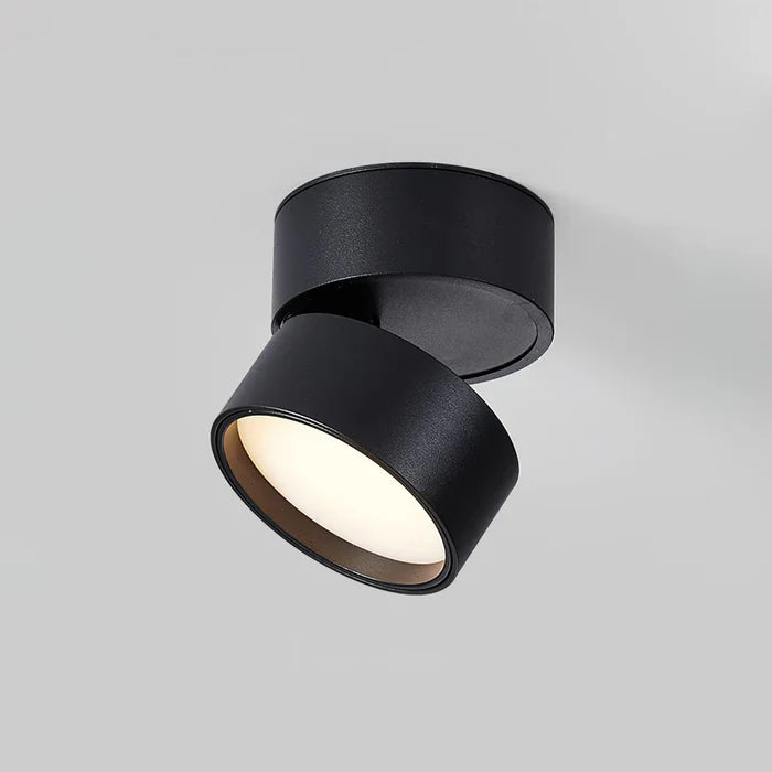 Modern Adjustable LED Ceiling Lamp