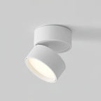 Modern Adjustable LED Ceiling Lamp