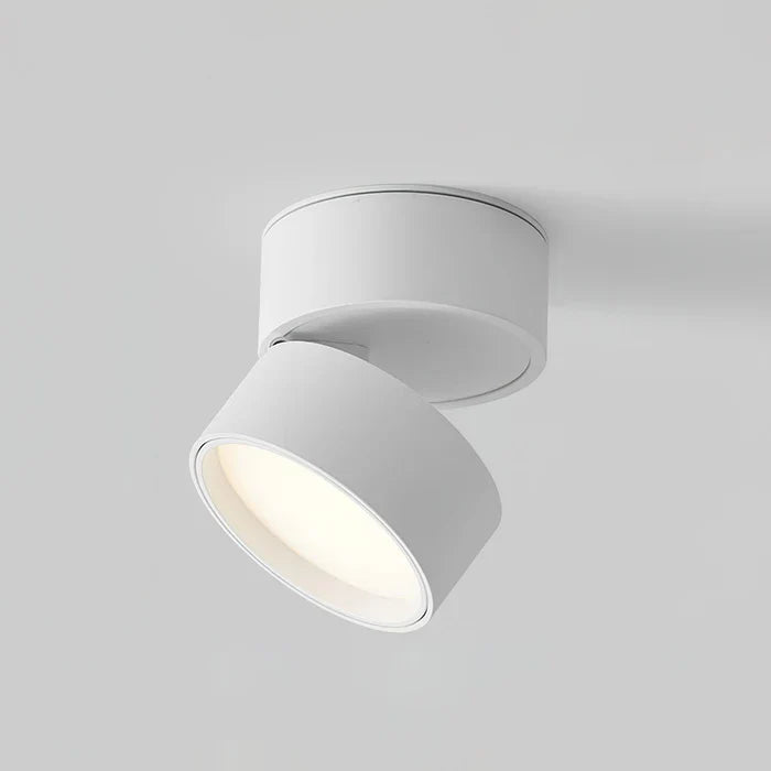 Modern Adjustable LED Ceiling Lamp