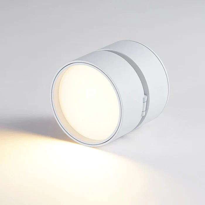 Modern Adjustable LED Ceiling Lamp