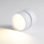 Modern Adjustable LED Ceiling Lamp