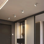 Modern Adjustable LED Ceiling Lamp