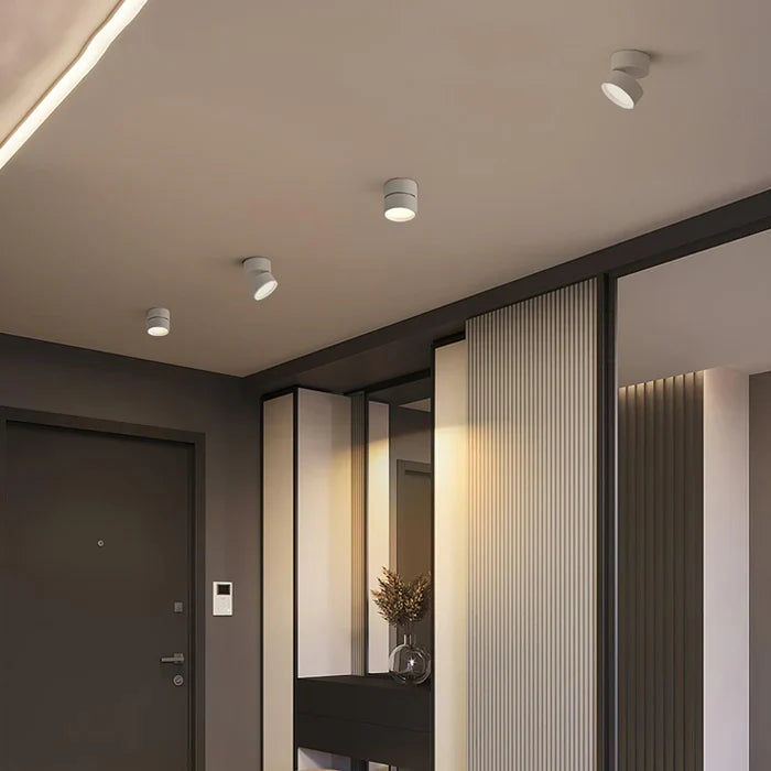 Modern Adjustable LED Ceiling Lamp