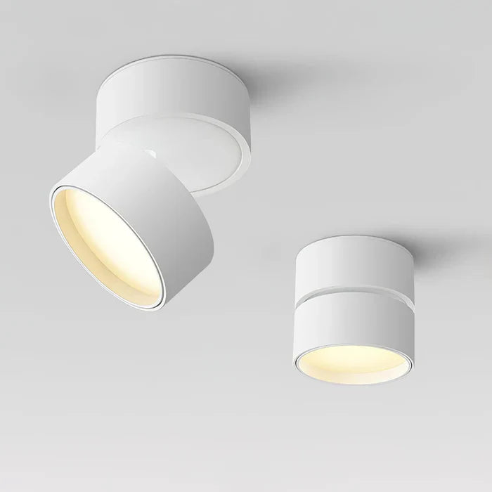 Modern Adjustable LED Ceiling Lamp
