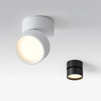 Modern Adjustable LED Ceiling Lamp