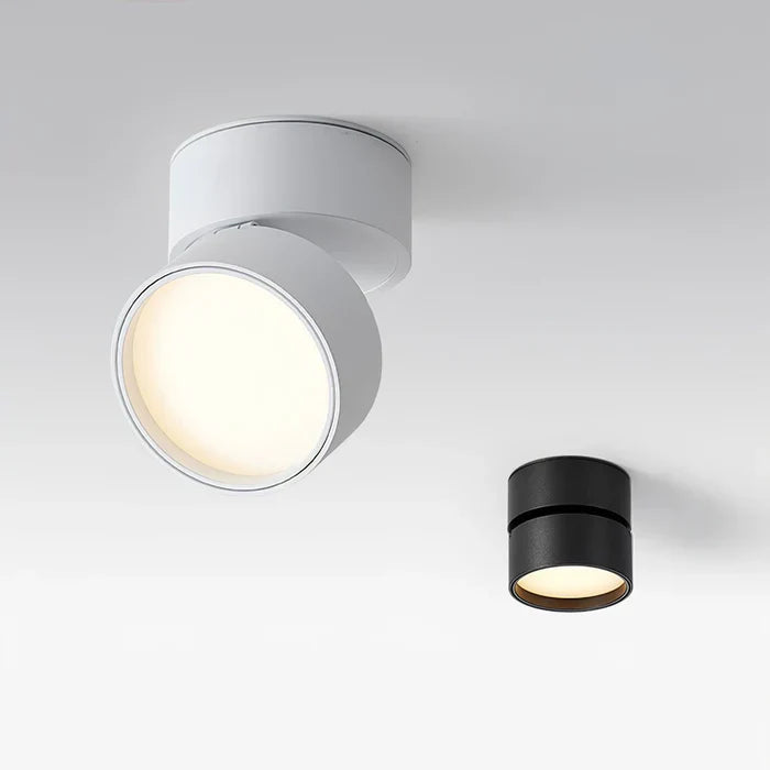 Modern Adjustable LED Ceiling Lamp
