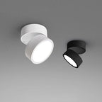 Modern Adjustable LED Ceiling Lamp