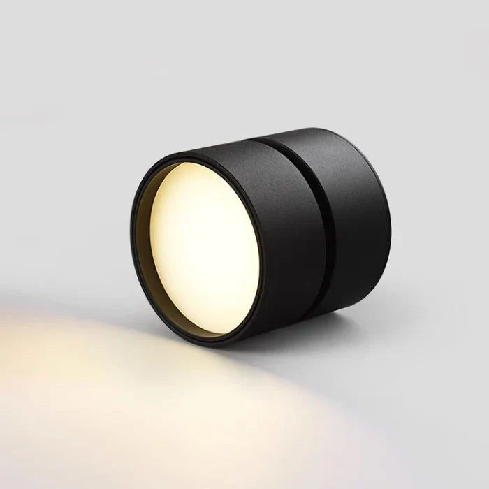Modern Adjustable LED Ceiling Lamp