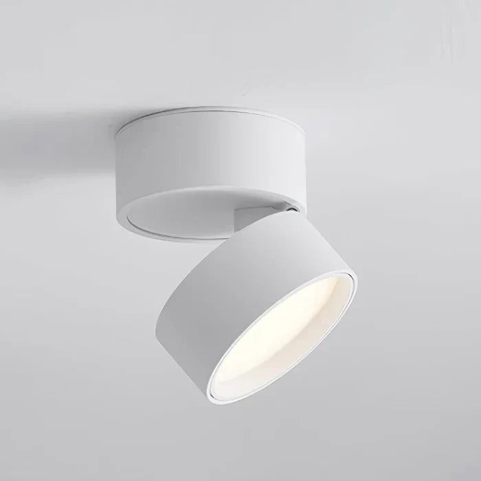 Modern Adjustable LED Ceiling Lamp