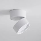 Modern Adjustable LED Ceiling Lamp