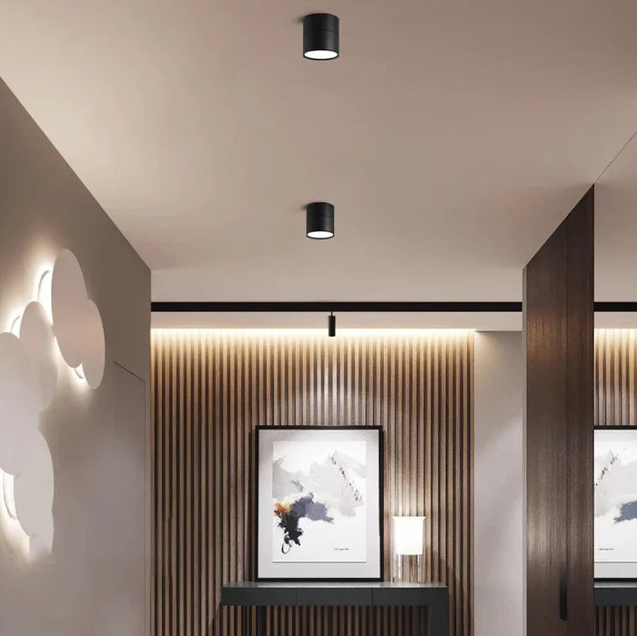 Modern Adjustable LED Ceiling Lamp
