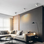 Modern Adjustable LED Ceiling Lamp