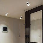 Modern Adjustable LED Ceiling Lamp