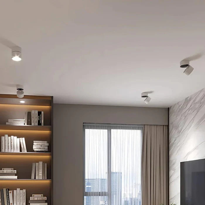 Modern Adjustable LED Ceiling Lamp